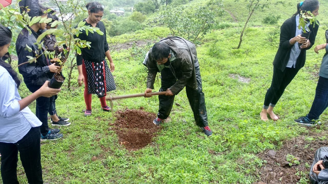 Tree Plantation (2019-20)